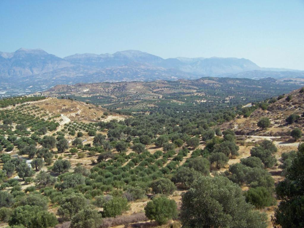 Villas Alexandros Kalamaki  Buitenkant foto